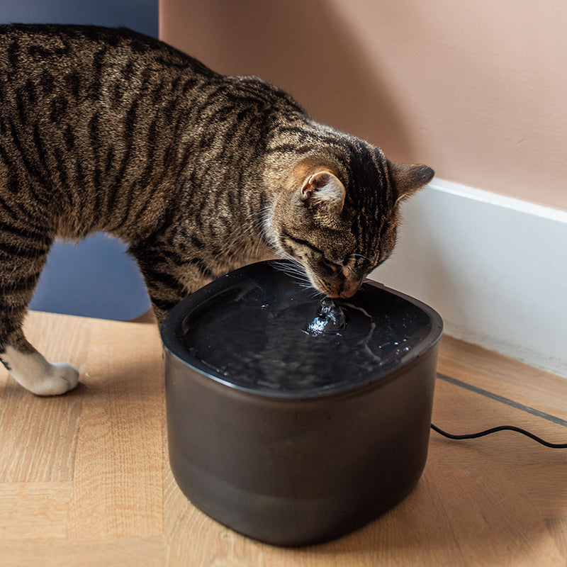 Pettadore Hydrate Lite - Drinkfontein - Zwart