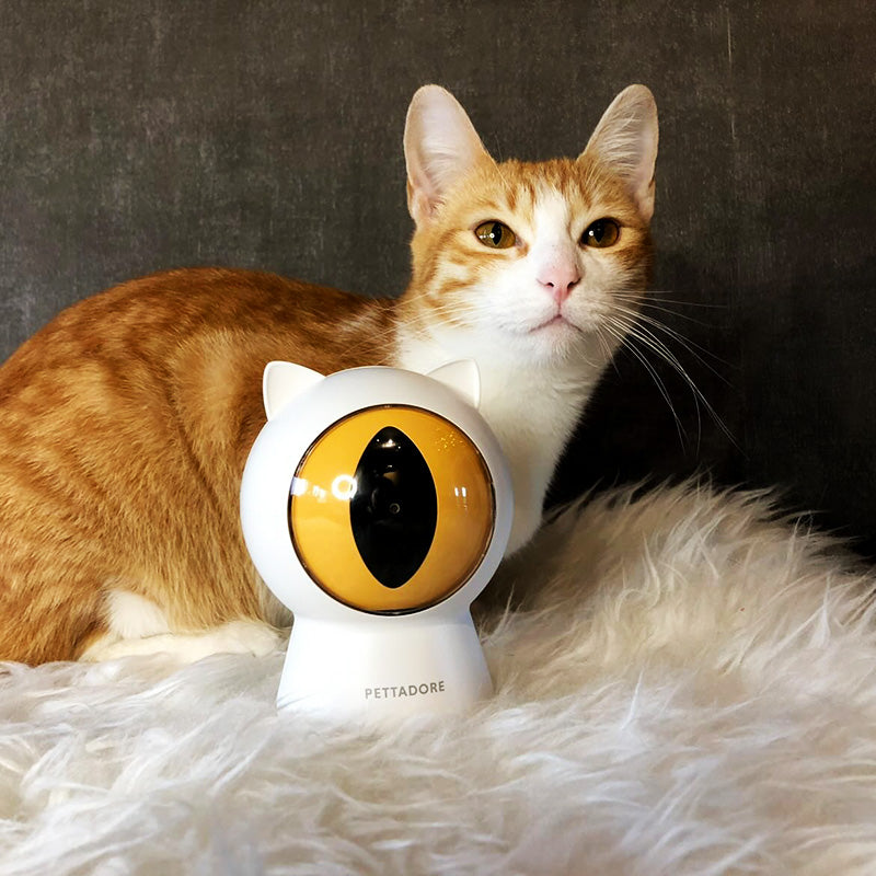 Pettadore Play Red Dot Smart Laser Speeltje Speelgoed Katten Kattenlaser