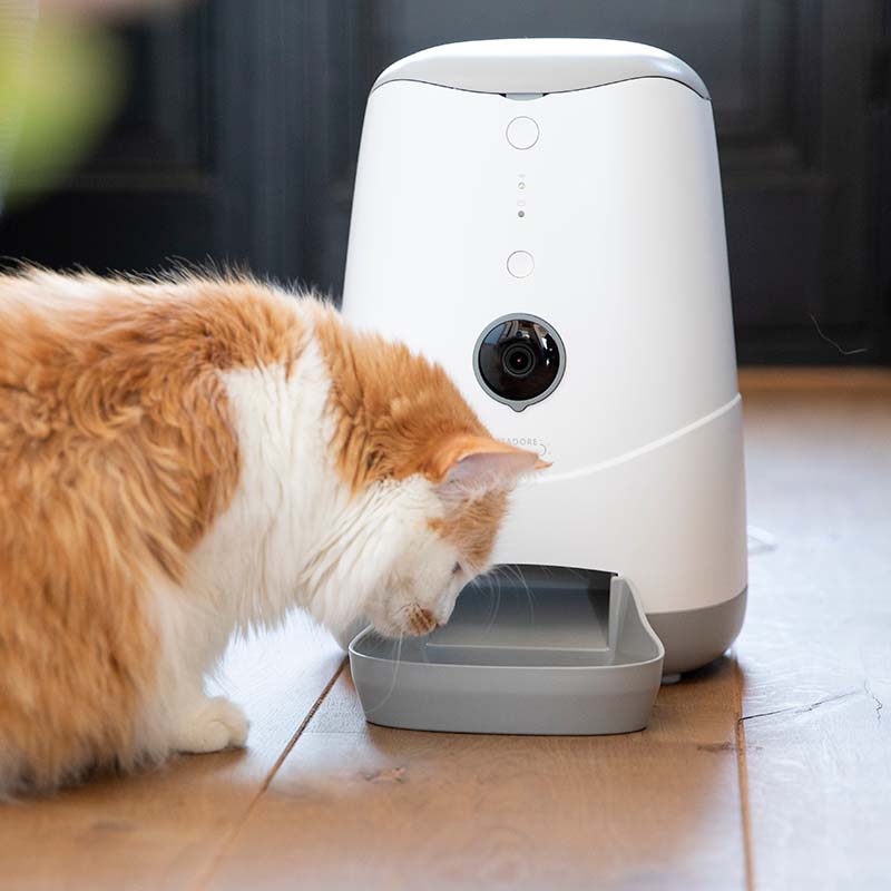 Pettadore Nutri View - Voerbak Automatisch Voerautomaat met App en Camera voor Kat en Hond