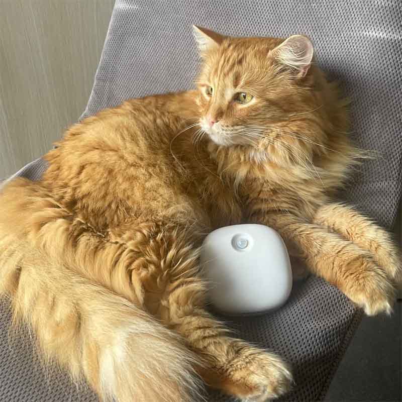 Pettadore Air Insight - Kattenbak Geurverdrijver - Geurverwijderaar met app