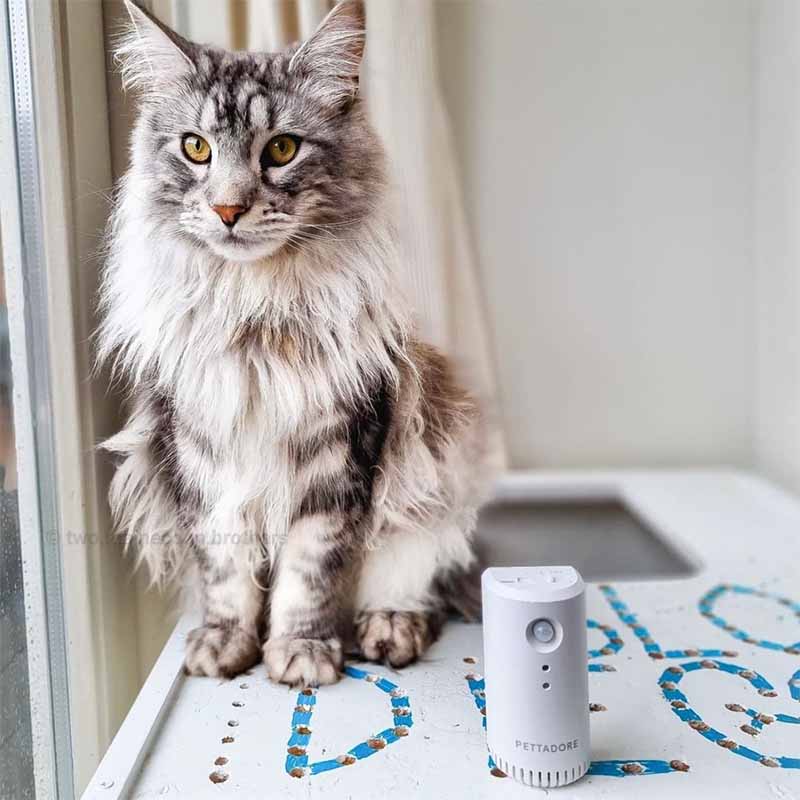 Pettadore Air Eliminator Kattenbak Geurverdrijver - Geurverwijderaar