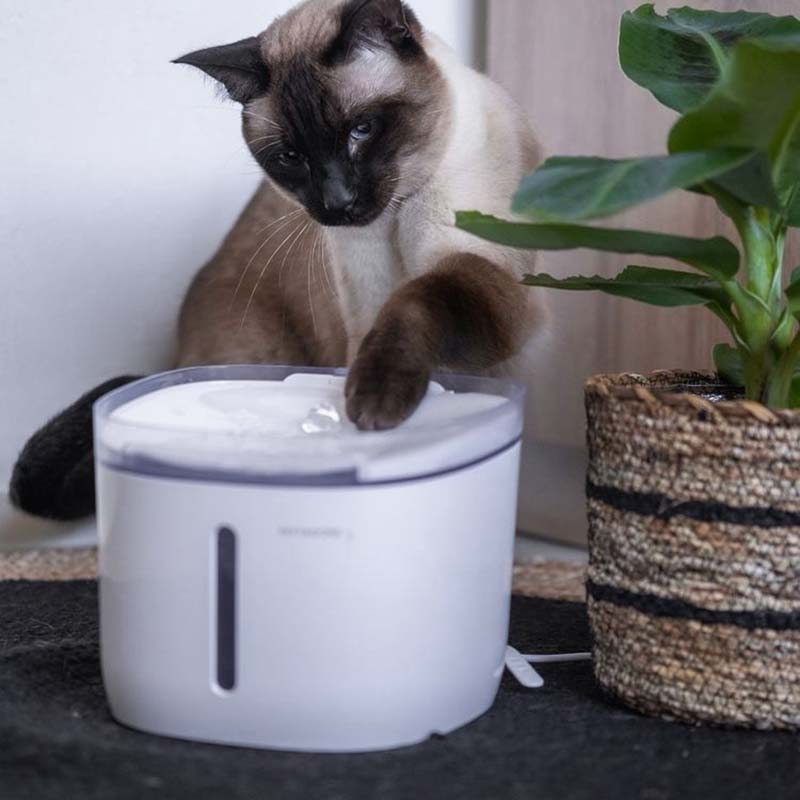 Pettadore Hydrate Compact drinkfontein katten honden app smart waterfontein, kattenfontein