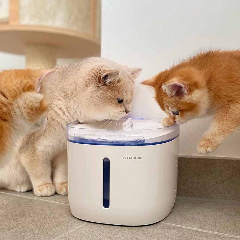 Pettadore Hydrate Compact drinkfontein katten honden app smart waterfontein, kattenfontein