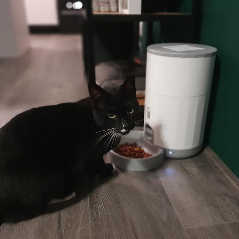 Pettadore Nutri Fresh voerautomaat katten/honden - Voerbak automatisch Smart