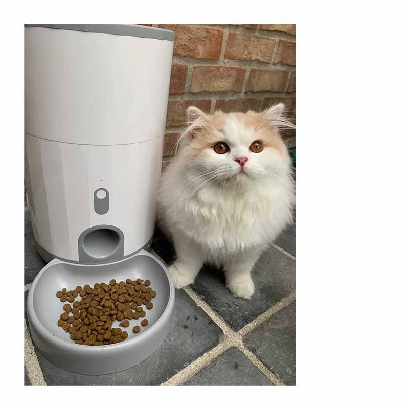 Pettadore Nutri Fresh voerautomaat katten/honden - Voerbak automatisch Smart