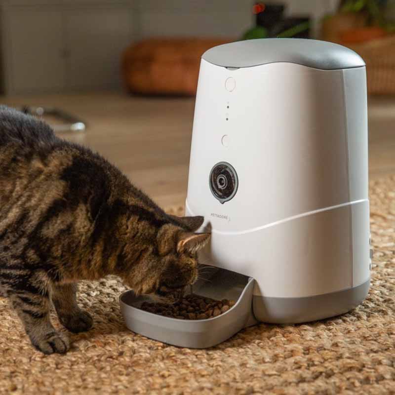 Pettadore Nutri View - Voerbak Automatisch Voerautomaat met App en Camera voor Kat en Hond