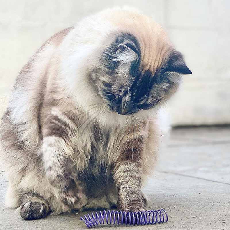 Pettadore Play Springs - Katzenfedern
