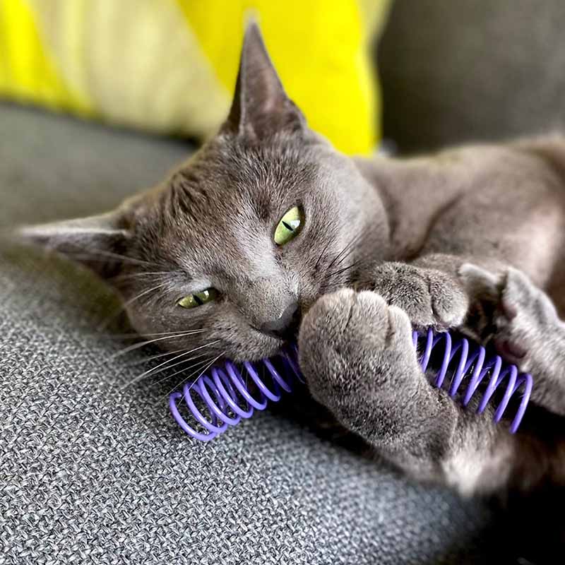 Pettadore Play Springs - Katzenfedern