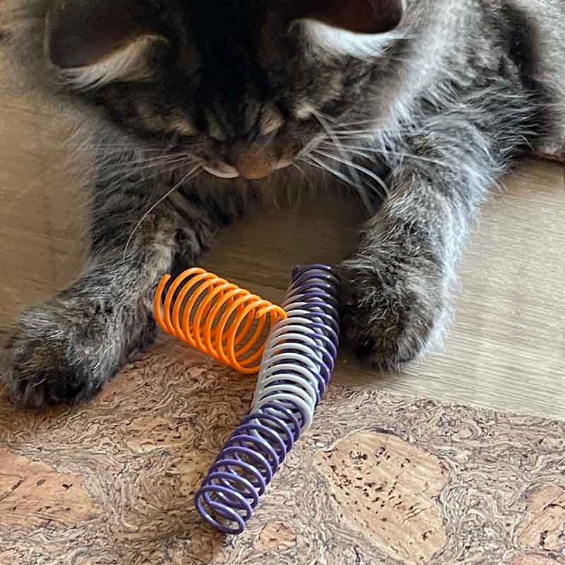 Pettadore Play Springs - Kattenveertjes, kattenspeeltjes, springveertjes katten