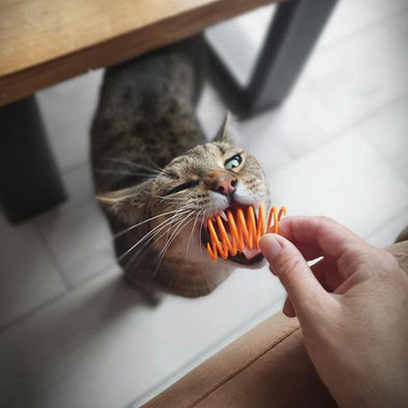 Pettadore Play Springs - Kattenveertjes, kattenspeeltjes, springveertjes katten