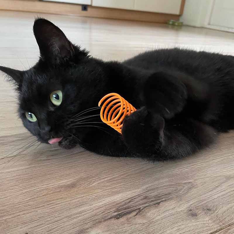 Pettadore Play Springs - Katzenfedern