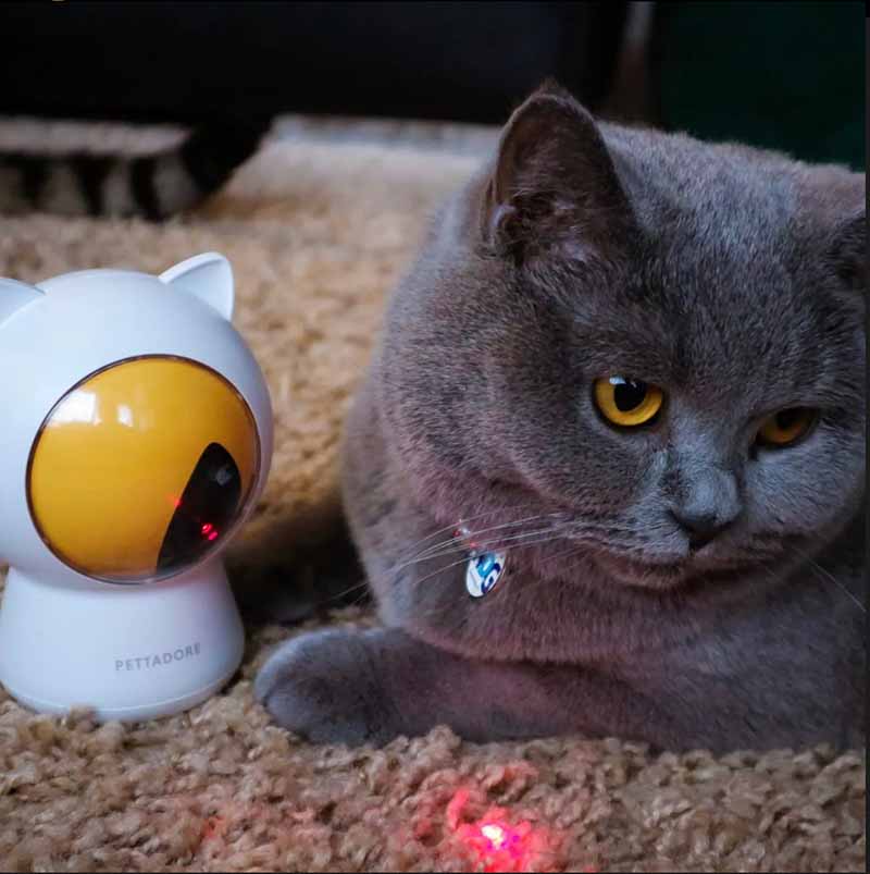 Pettadore Play Red Dot Smart Laser Speeltje Speelgoed Katten Kattenlaser