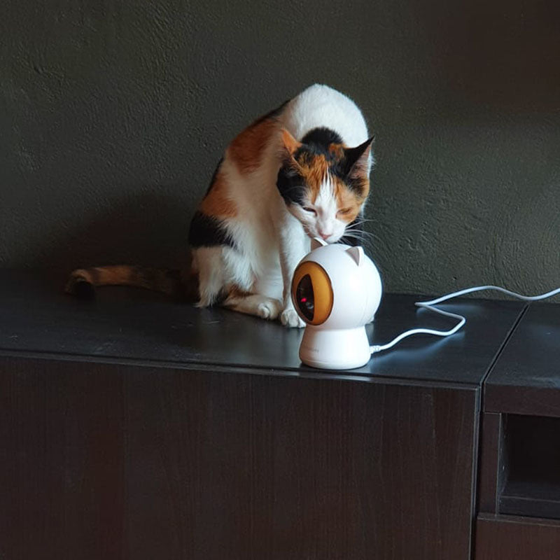Pettadore Play Red Dot Smart Laser Speeltje Speelgoed Katten Kattenlaser