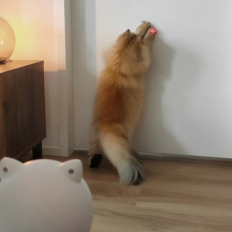 Pettadore Play Red Dot Smart Laser Speeltje Speelgoed Katten Kattenlaser