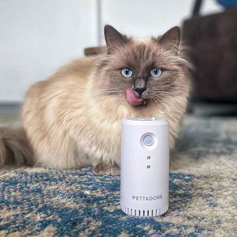 Pettadore Air Eliminator Kattenbak Geurverdrijver - Geurverwijderaar