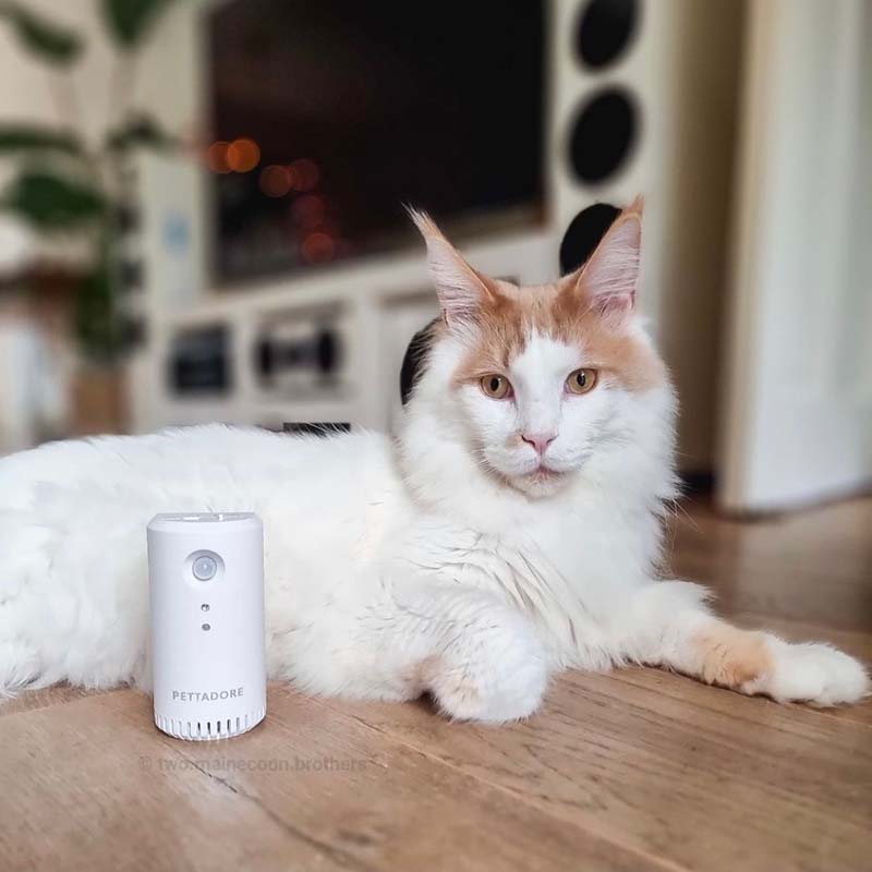Pettadore Air Eliminator Kattenbak Geurverdrijver - Geurverwijderaar