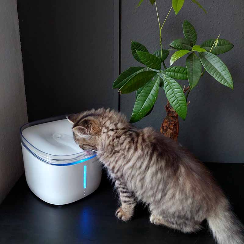 Pettadore Hydrate Ultra - Drinkfontein Katten met App Smart Kattenfontein met UV sterilisator