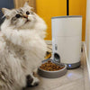 Pettadore Nutri Fresh voerautomaat katten/honden - Voerbak automatisch Smart
