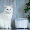 Pettadore Hydrate Ultra - Drinkfontein Katten met App Smart Kattenfontein met UV sterilisator